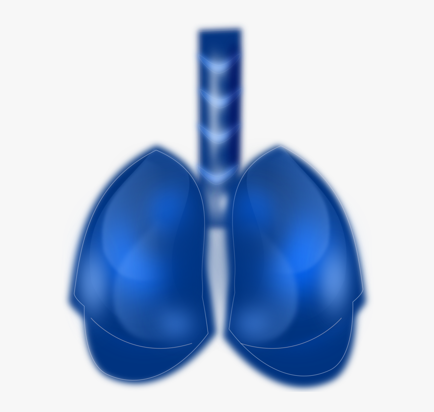 Blue Lungs Human Png, Transparent Png