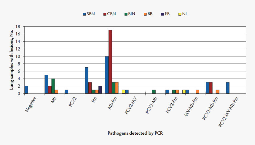 Screenshot, HD Png Download