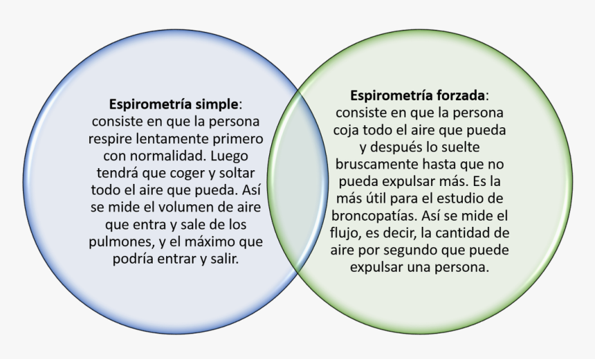 Transparent Pulmones Png - Espirometria Simple Y Forzada, Png Download