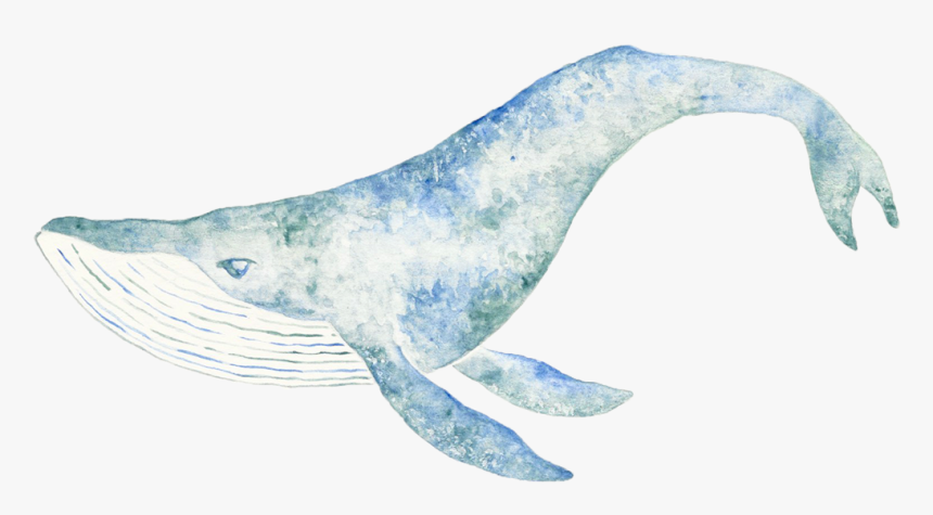 Eagle, HD Png Download