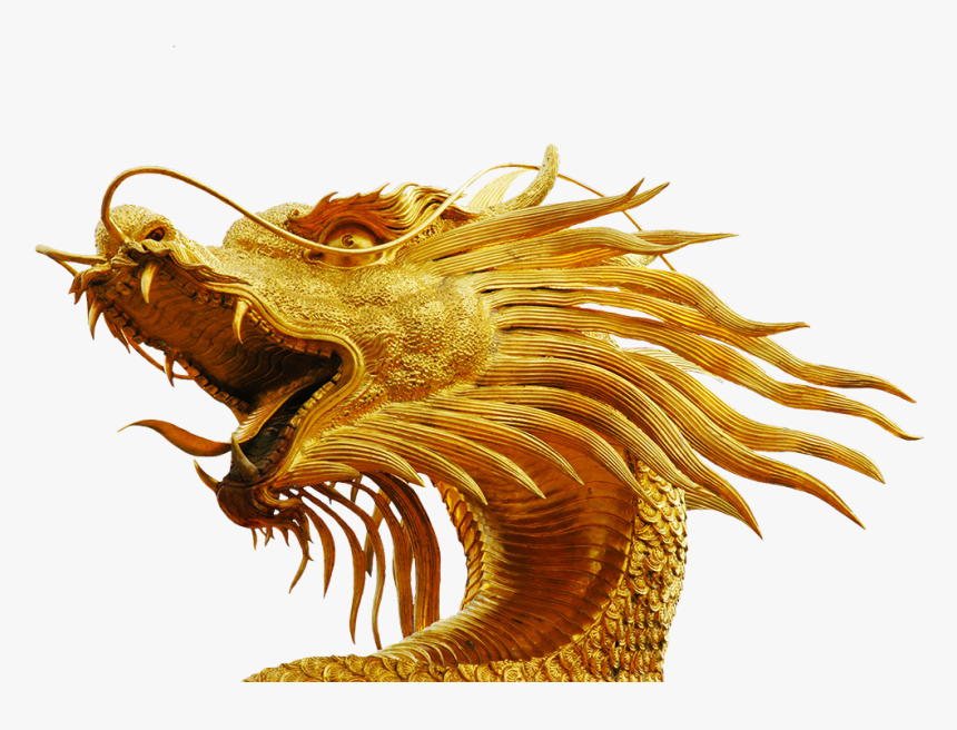 Gold Dragon Head - Dragon Head No Background, HD Png Download