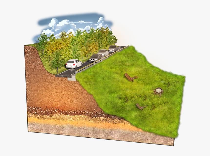 Grass, HD Png Download