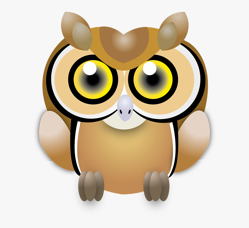 Owl, Wisdom, Ave, Feathers, Bird, Fauna - Cartoon, HD Png Download