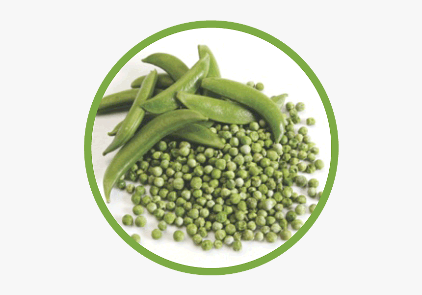 Our Peas Are One Of The Many Dried Vegetables We Offer - Snap Pea, HD Png Download
