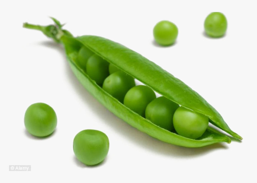 Pea Png Transparent Image - Peas Means, Png Download