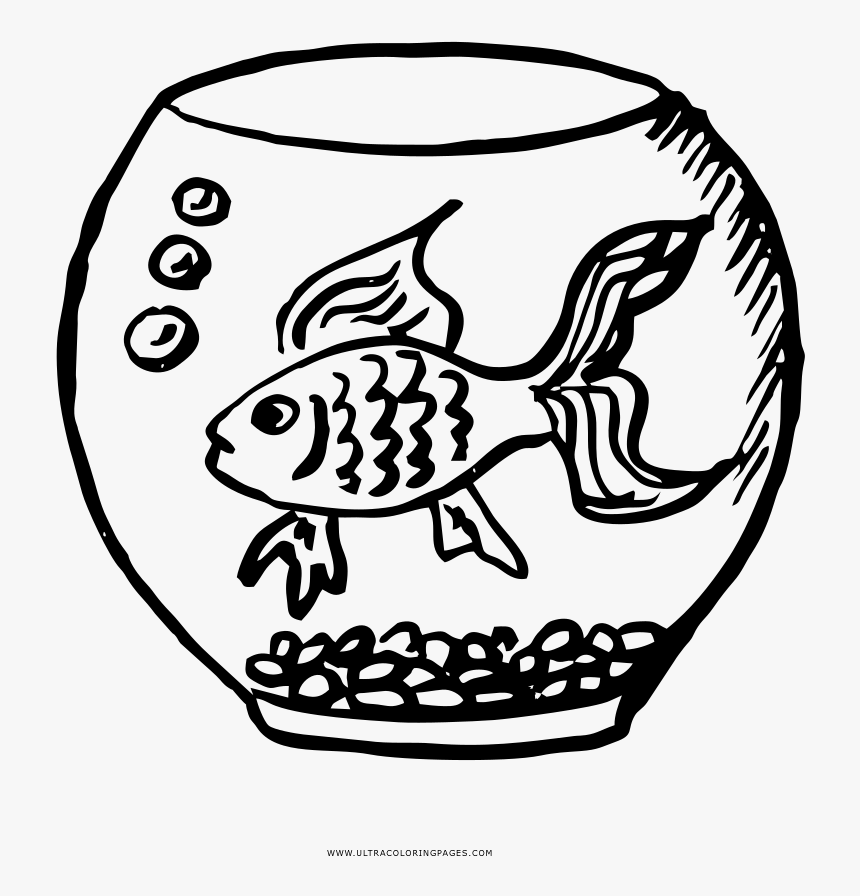 Fish Bowl Coloring Page - Illustration, HD Png Download