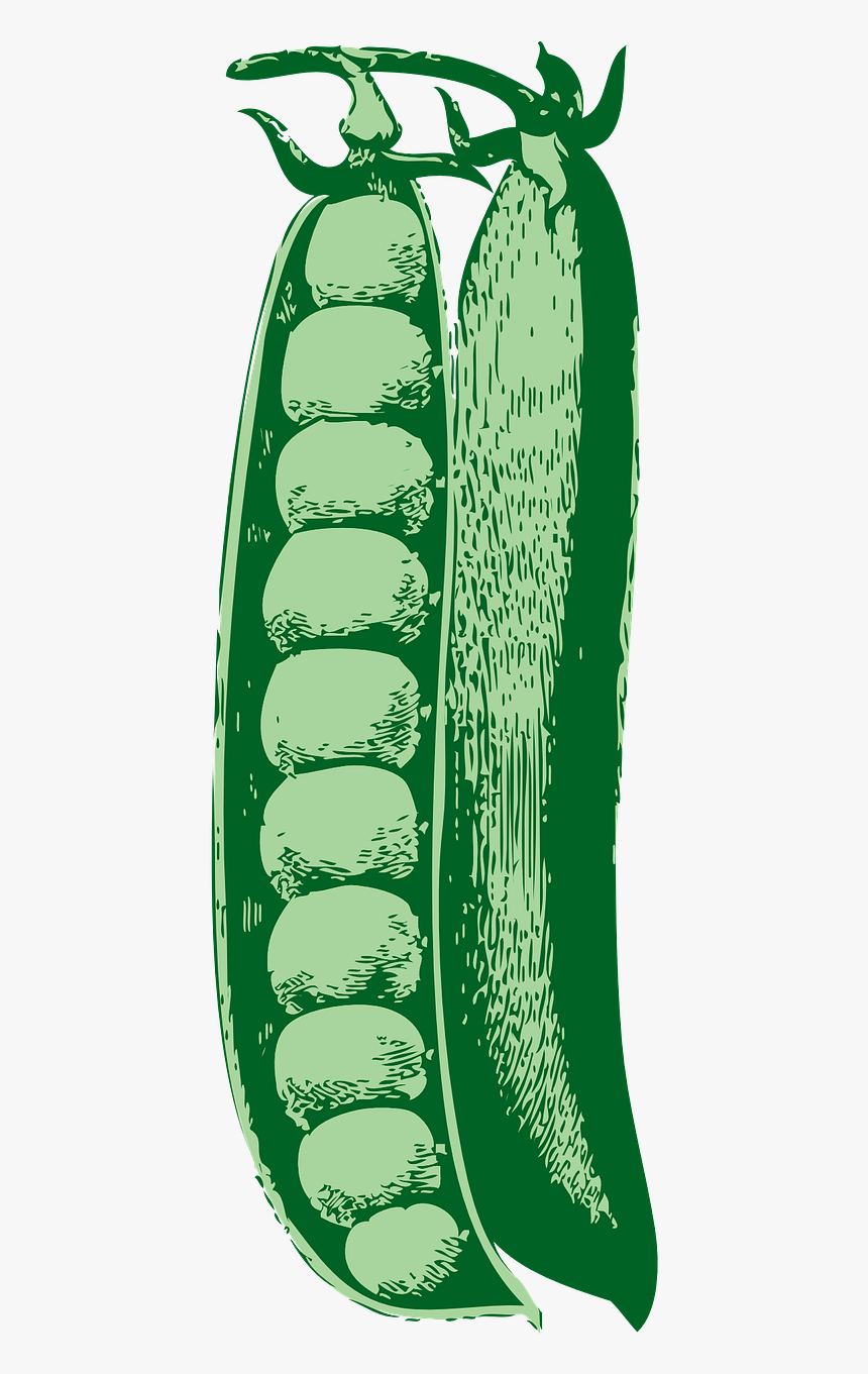 Cartoon Peas, HD Png Download