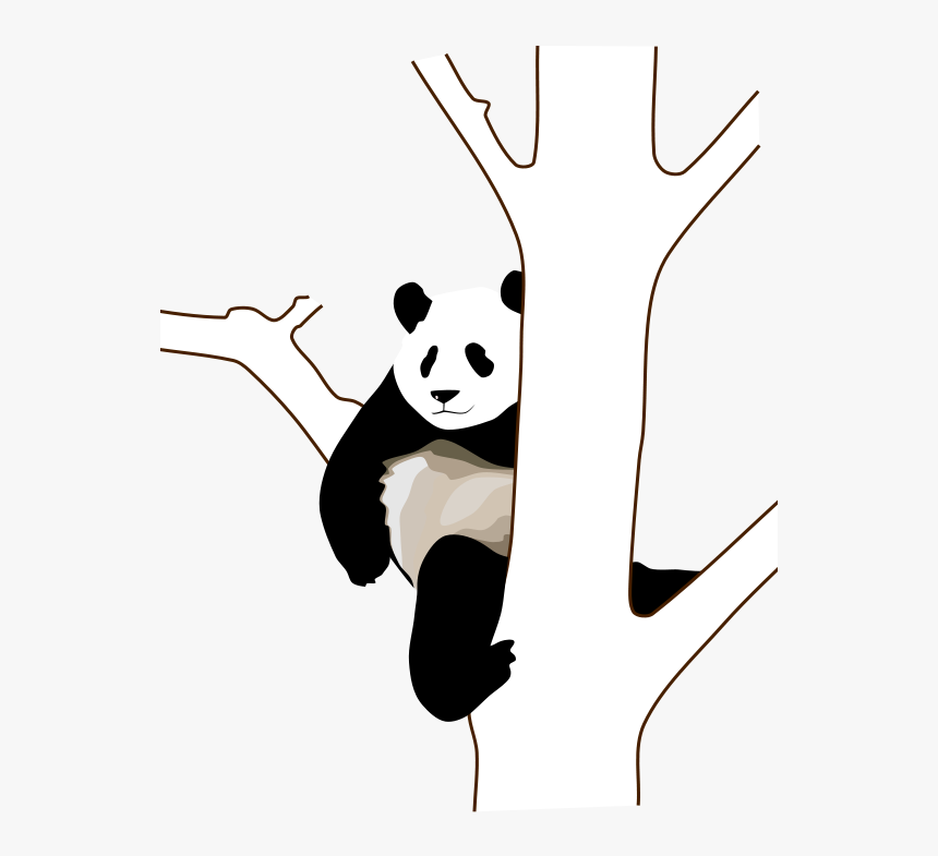Panda Clip Art, HD Png Download