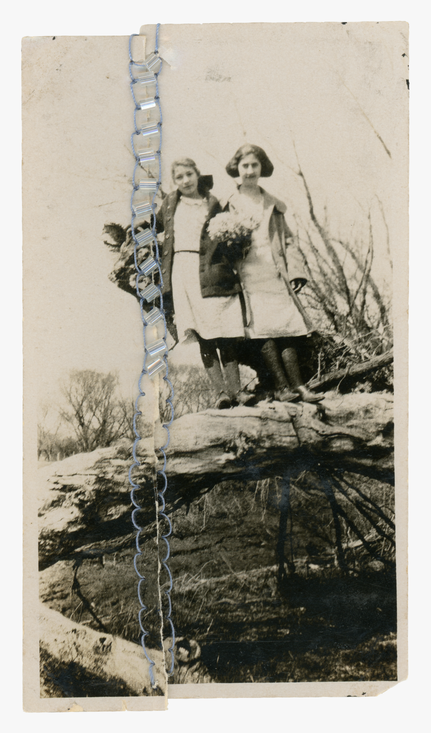 Scrapbook1, HD Png Download