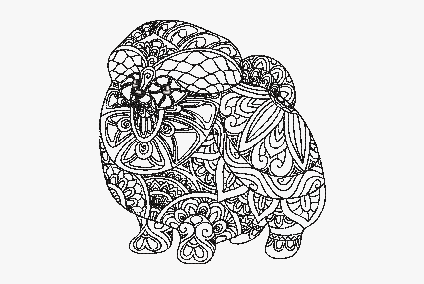 Doodle, HD Png Download