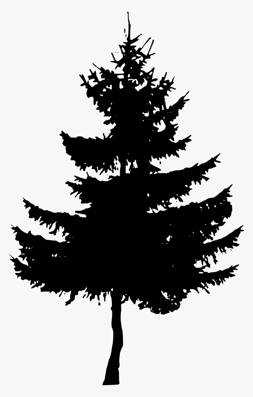 Pine Tree Silhouette - Pine Tree Silhouette Free, HD Png Download