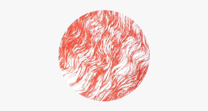 Miska Mio - Circle, HD Png Download