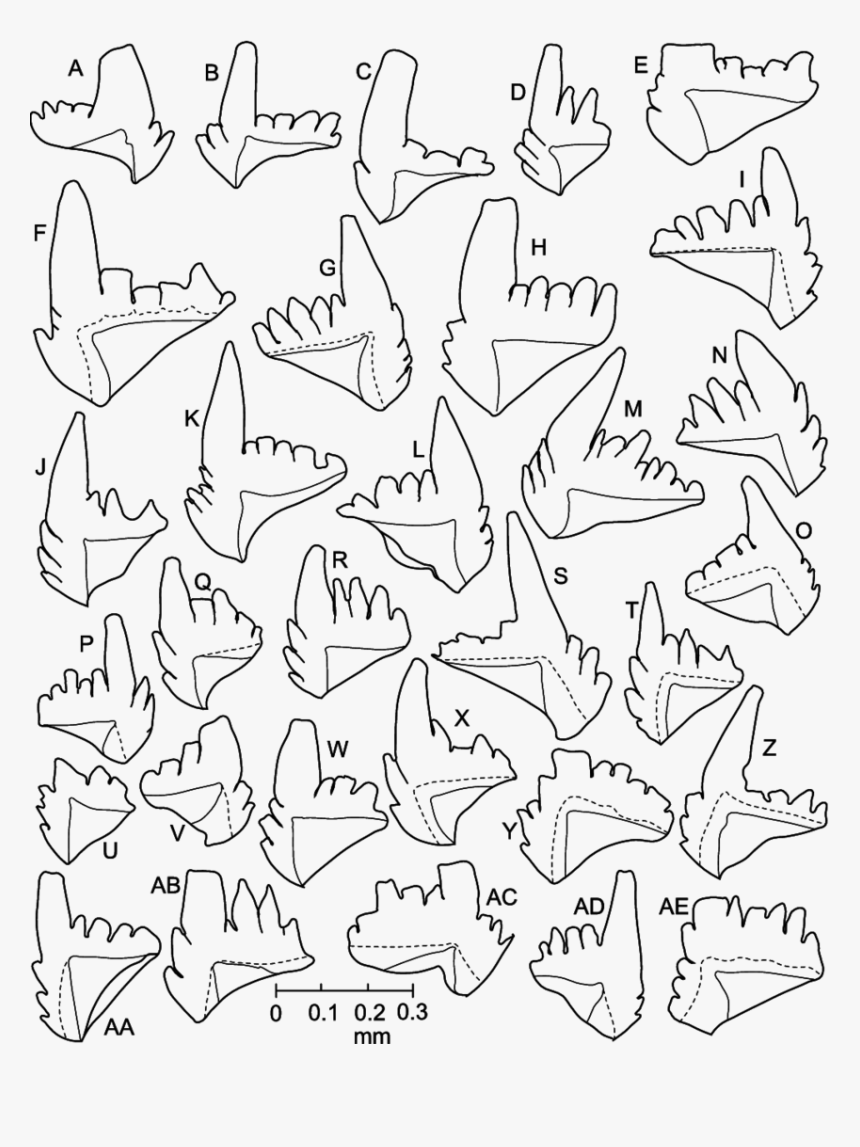 Drawing, HD Png Download