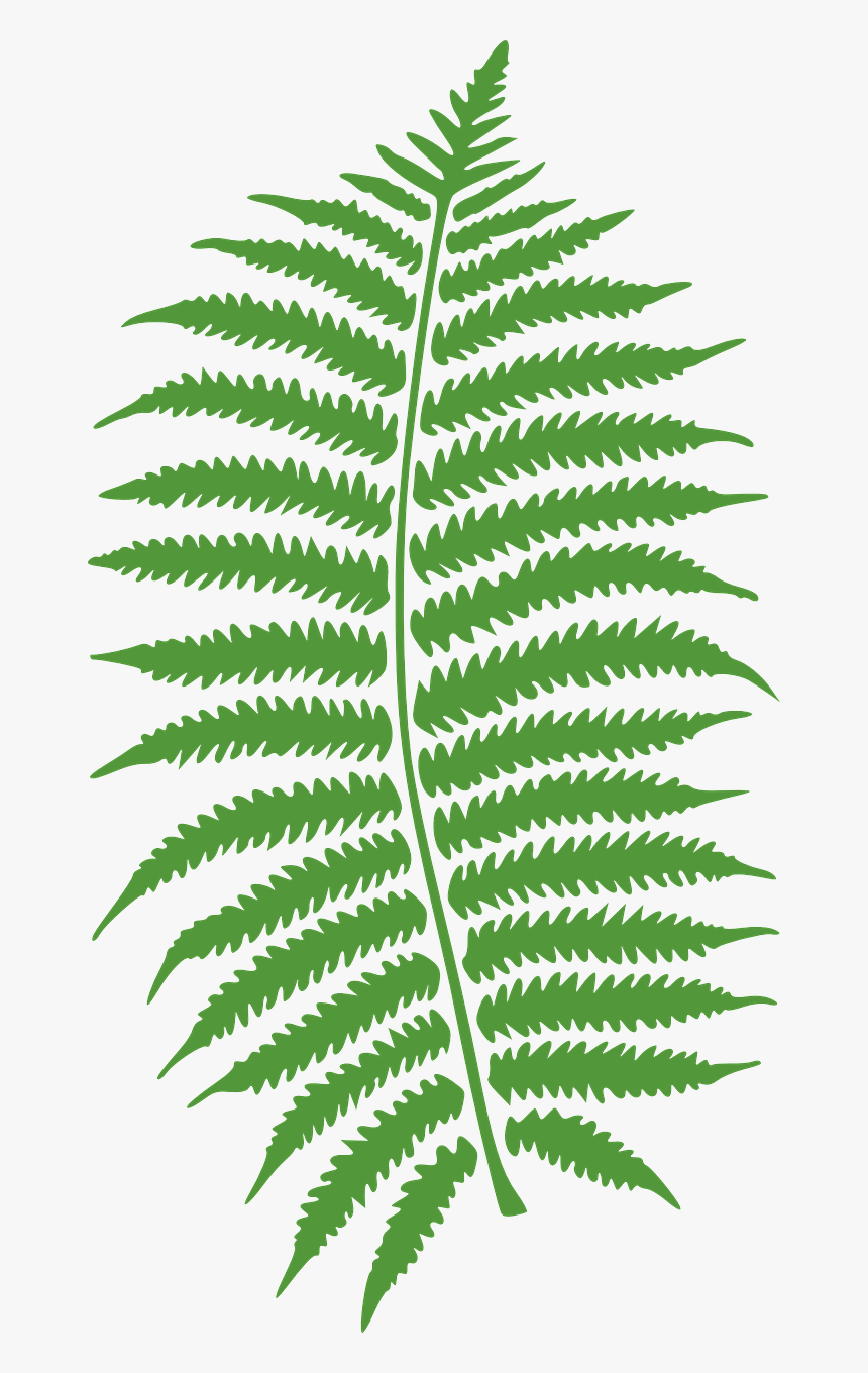 Transparent Leaf Png, Png Download