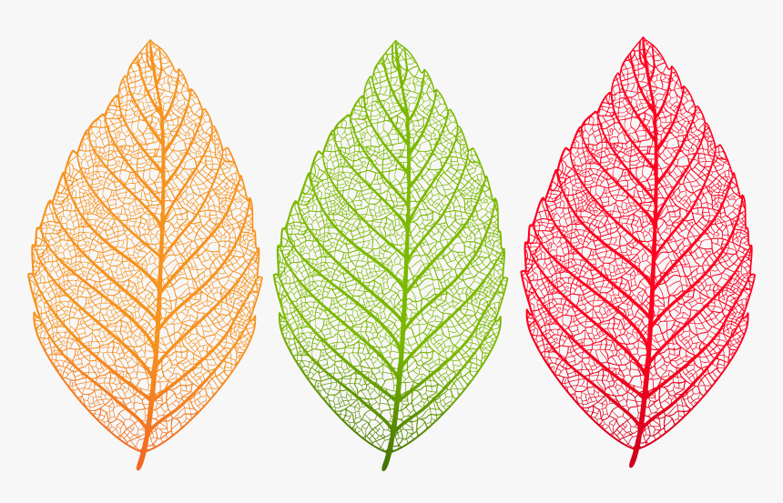 Set Png Clip Art - Transparent Leaf Clipart Png, Png Download
