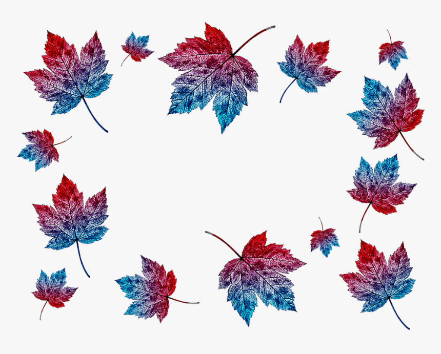 Autumn, Leaves, Collage, Transparent Background, Nature - Maple Leaf, HD Png Download
