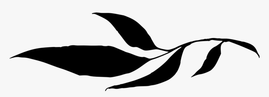 Leaves Silhouettes With Transparent Background, HD Png Download