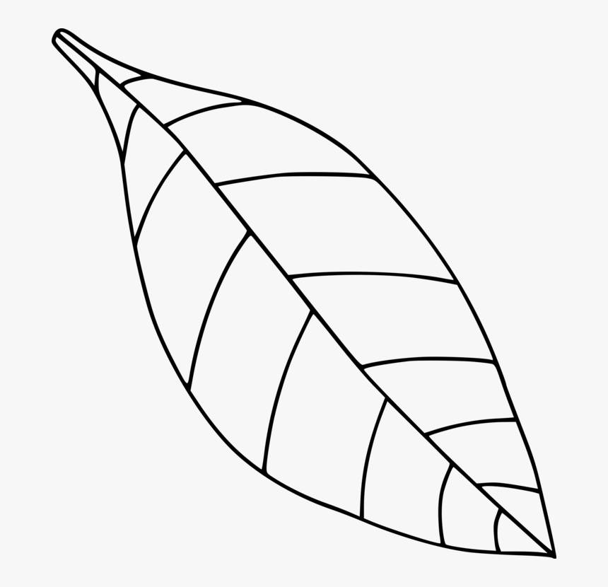 Computer Icons Drawing Black And White Leaf Coloring - Apple Leaf Clipart Black And White, HD Png Download