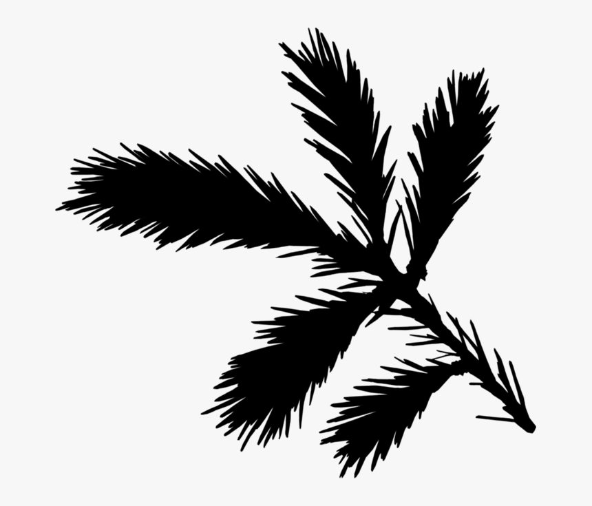 Palm Trees Black & White - Illustration, HD Png Download