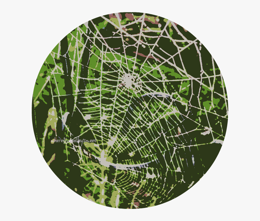 Transparent Cobwebs Png - Spider Web, Png Download