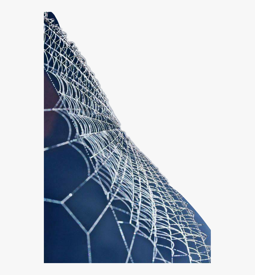 #cobwebs - Quranic Verses On Ego, HD Png Download