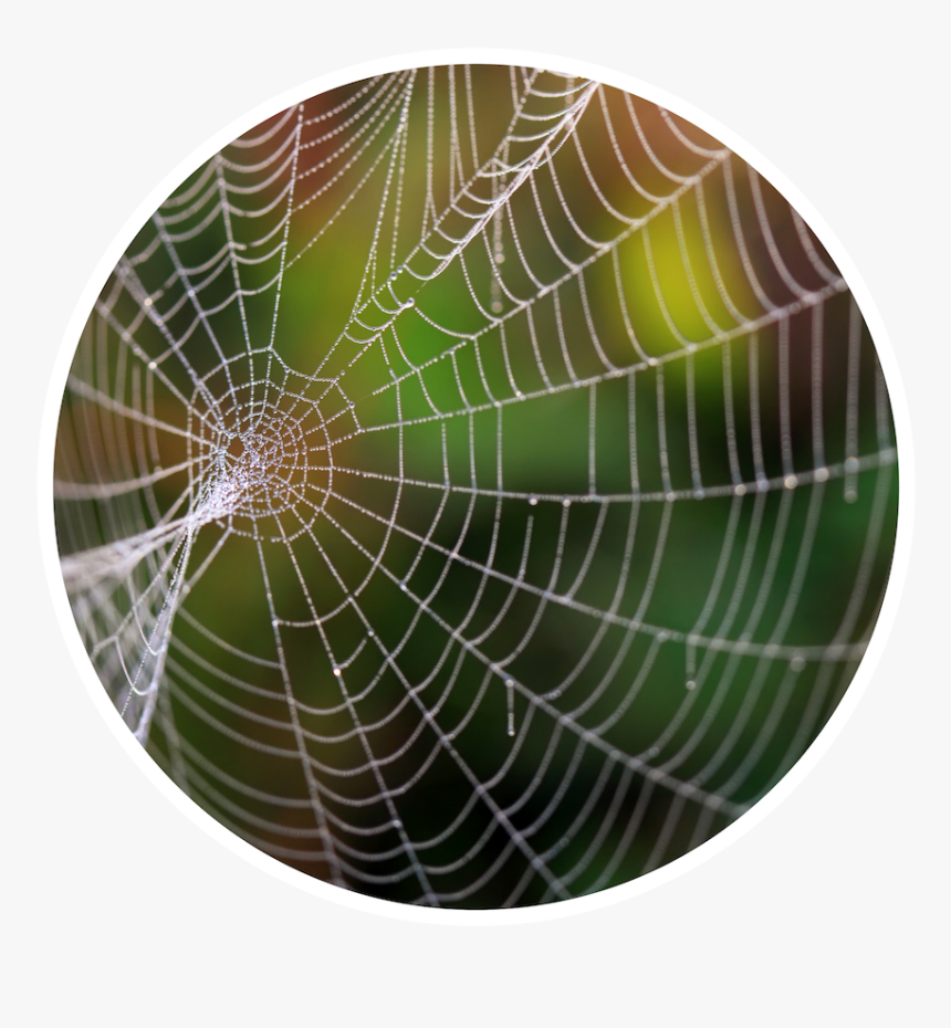 Complex Definition, HD Png Download