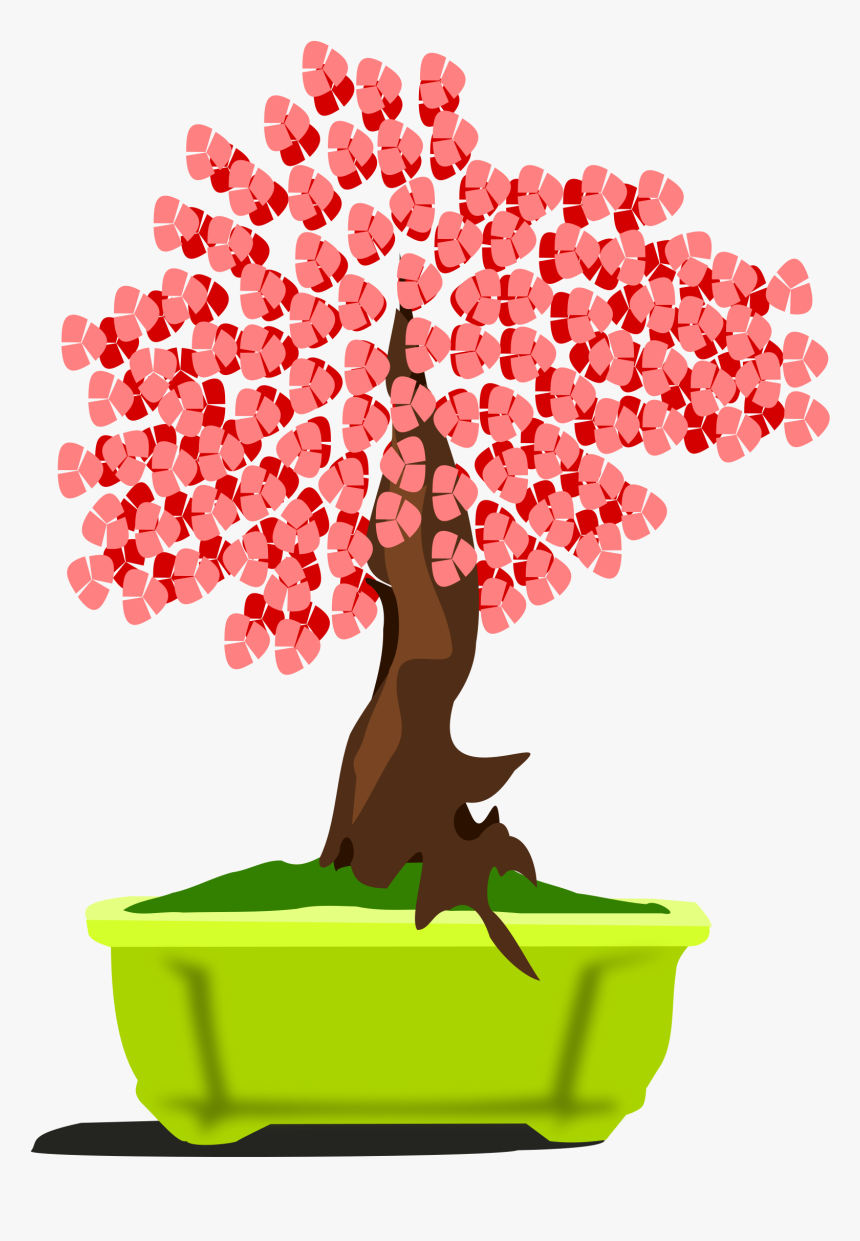 Bonsai-13 Clip Arts - Bonsai, HD Png Download