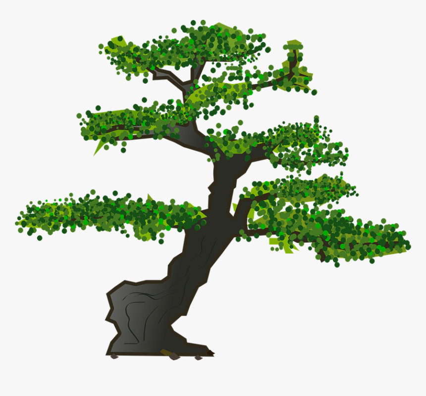 Bonsai, Tree, Leaves, Plant, Nature, Green, Foliage - Bonsai Tree Vector Free, HD Png Download