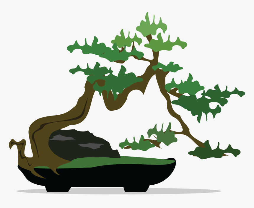 Transparent Bonsai Tree Png - Bonsai Tree Bonsai Clipart, Png Download