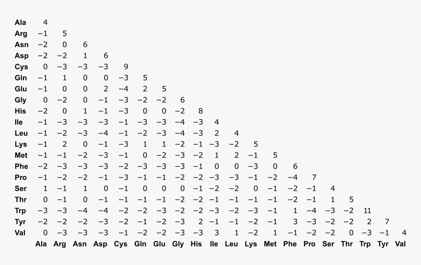 Blosum62 Matrix, HD Png Download