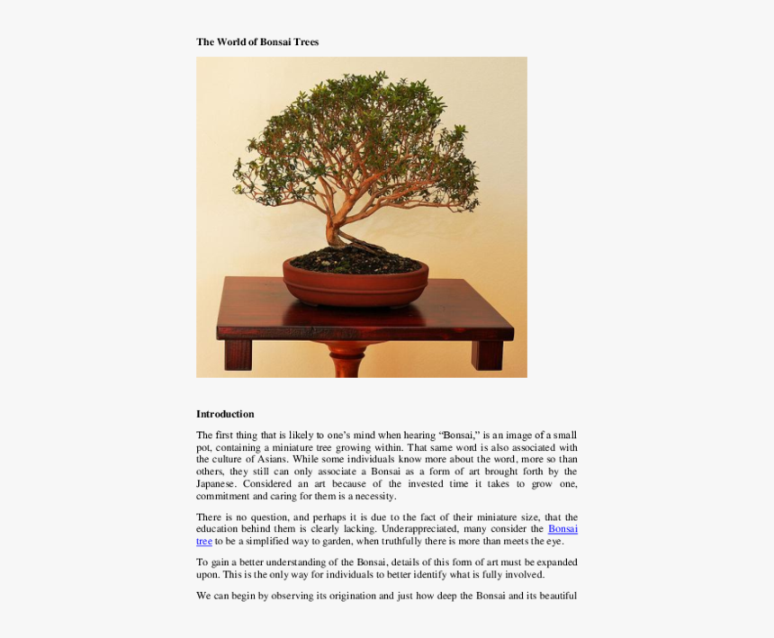 Sageretia Theezans, HD Png Download