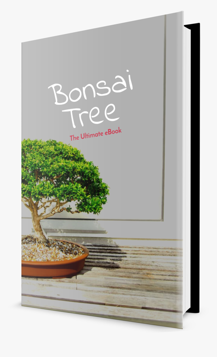 Mexican Pinyon, HD Png Download