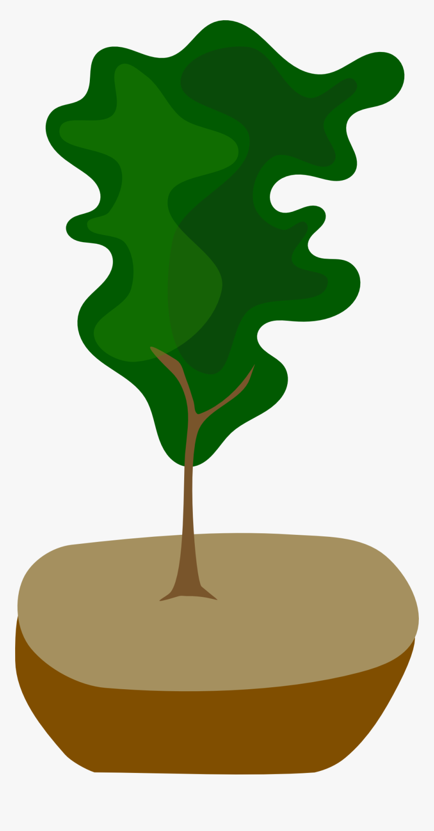 Bonsai, HD Png Download