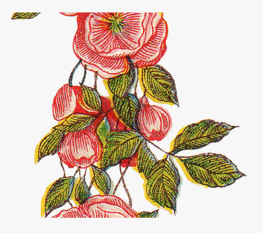 Transparent Vintage Floral Png - Floral Vintage Png Design, Png Download