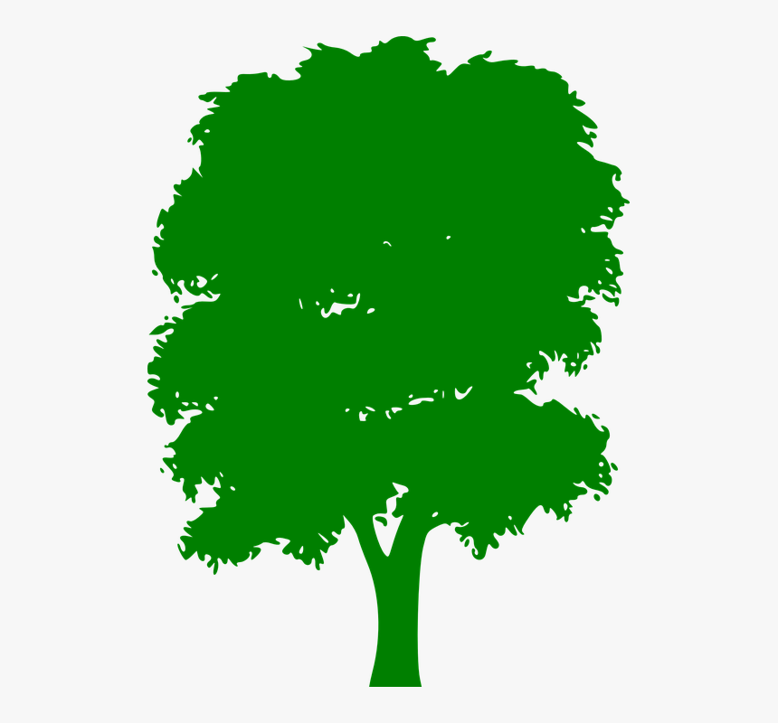 Tree, Green, Plain, Nature, Wood, Outside, Silhouette - Silhouette Tree Png Vector, Transparent Png
