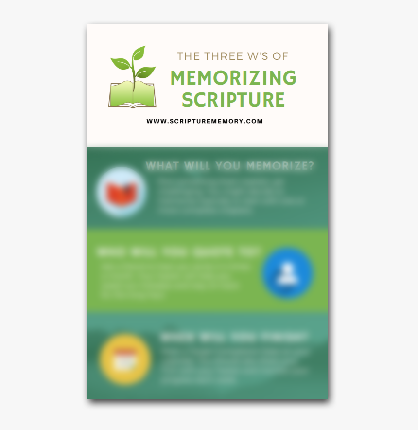 Infographic - Flyer, HD Png Download