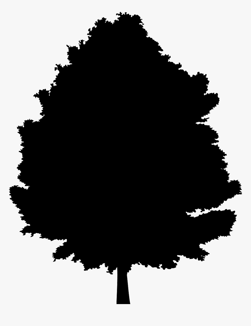 Grey Icon Trees, HD Png Download