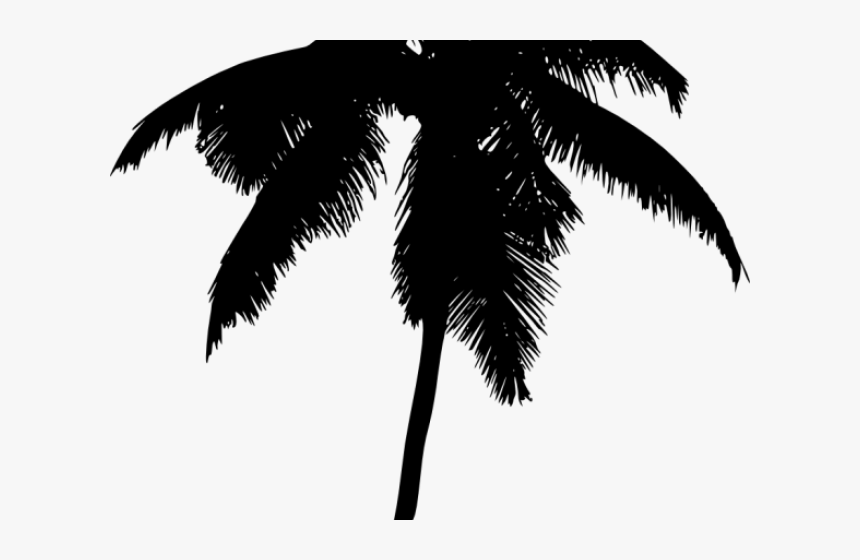 Palm Tree Silhouette Png - Palm Trees, Transparent Png