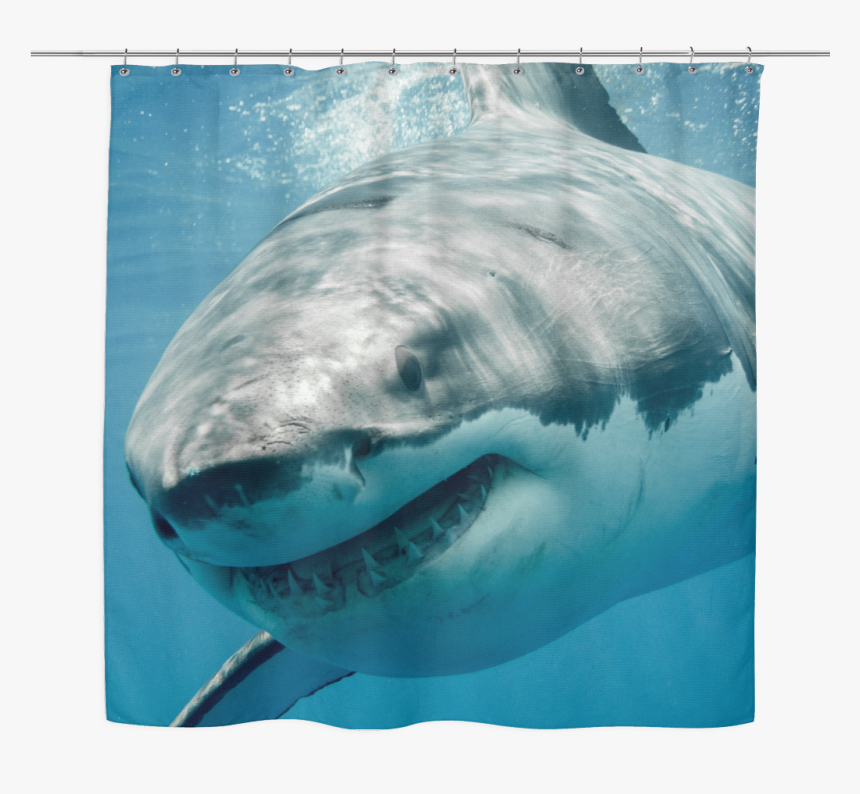 Great White Shark Shower Curtain - Great White Shark Sharks, HD Png Download