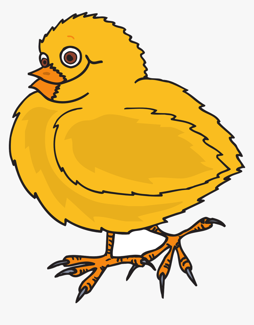Baby, Bird, Chicken, Chicks, Yellow, Feathers, Wings - Free Dot To Dot Chicken Printables, HD Png Download