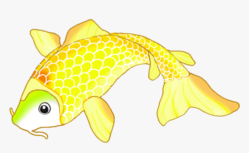Transparent Koi Png - Coral Reef Fish, Png Download