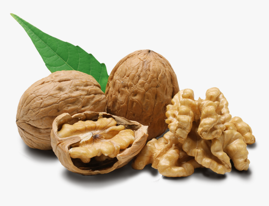 Walnut Png - Walnuts Png, Transparent Png