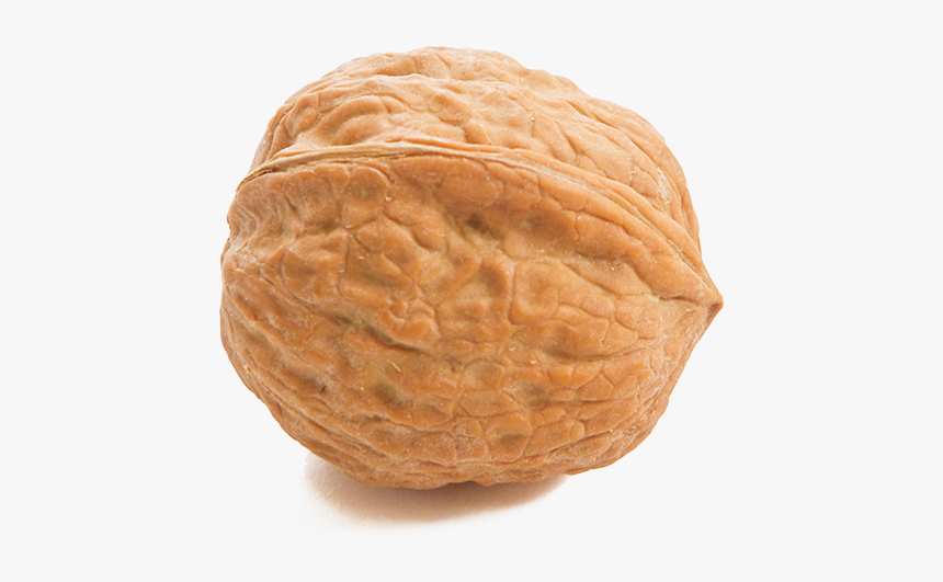 Walnut Nut, HD Png Download