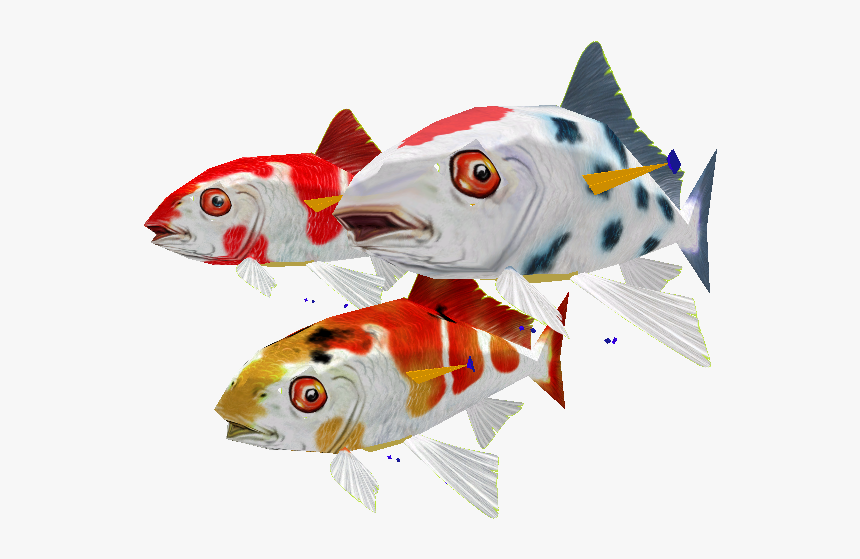 Download Zip Archive - Zoo Tycoon 2 Koi, HD Png Download