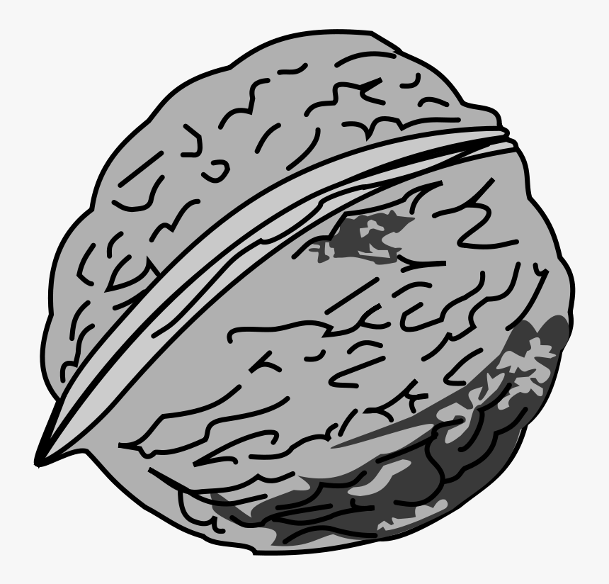 Black And White Picture Of Walnut - Nut Black And White, HD Png Download