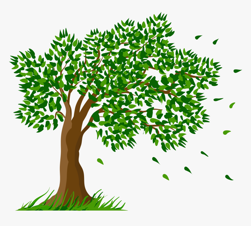 Tree Pine Arecaceae Clip Art - Clipart Tree With Transparent Background, HD Png Download