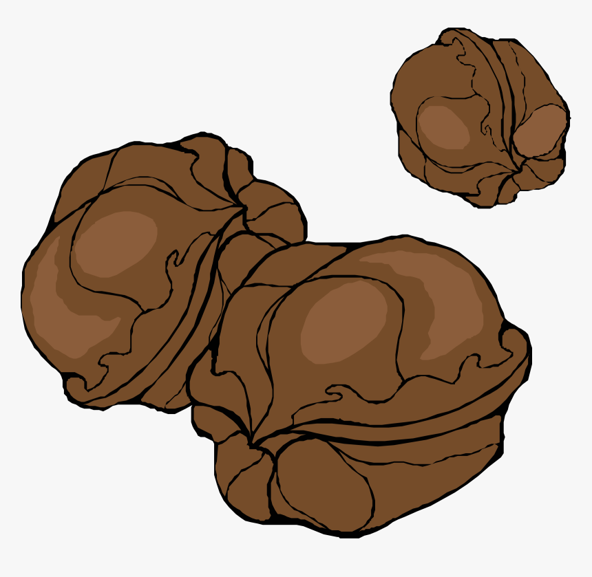 Walnuts Clip Arts - Walnuts Clipart, HD Png Download