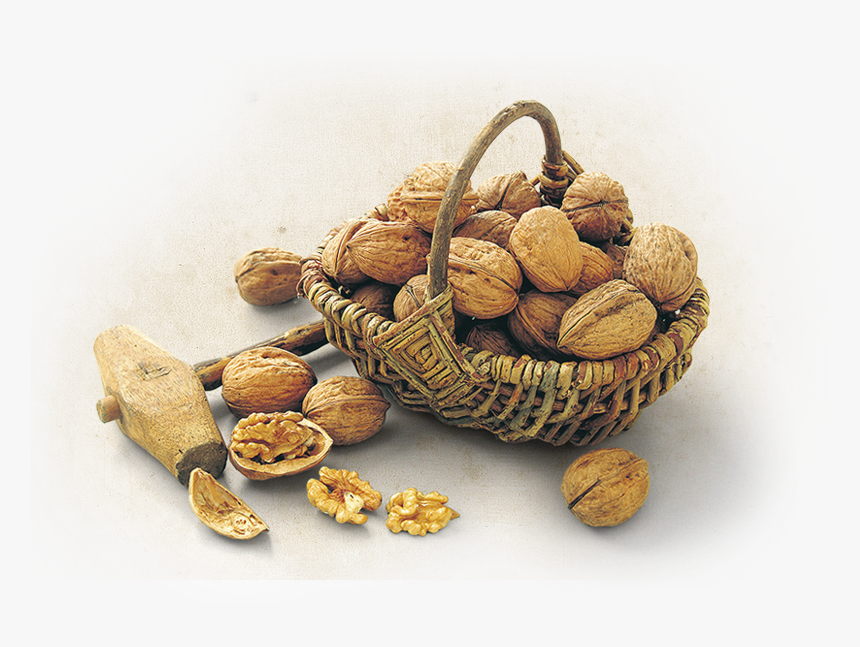 Walnut Png, Transparent Png