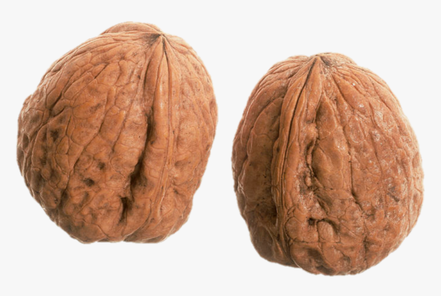A Wrinkly Pair Of Nuts - Walnut, HD Png Download
