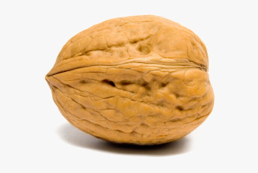 Walnut Transparent Images - Whole Walnut, HD Png Download